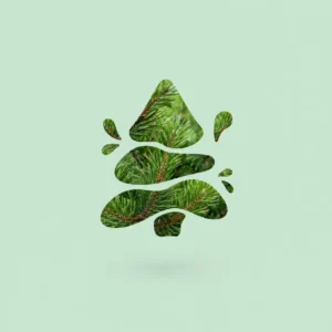 Fragancia Pino
