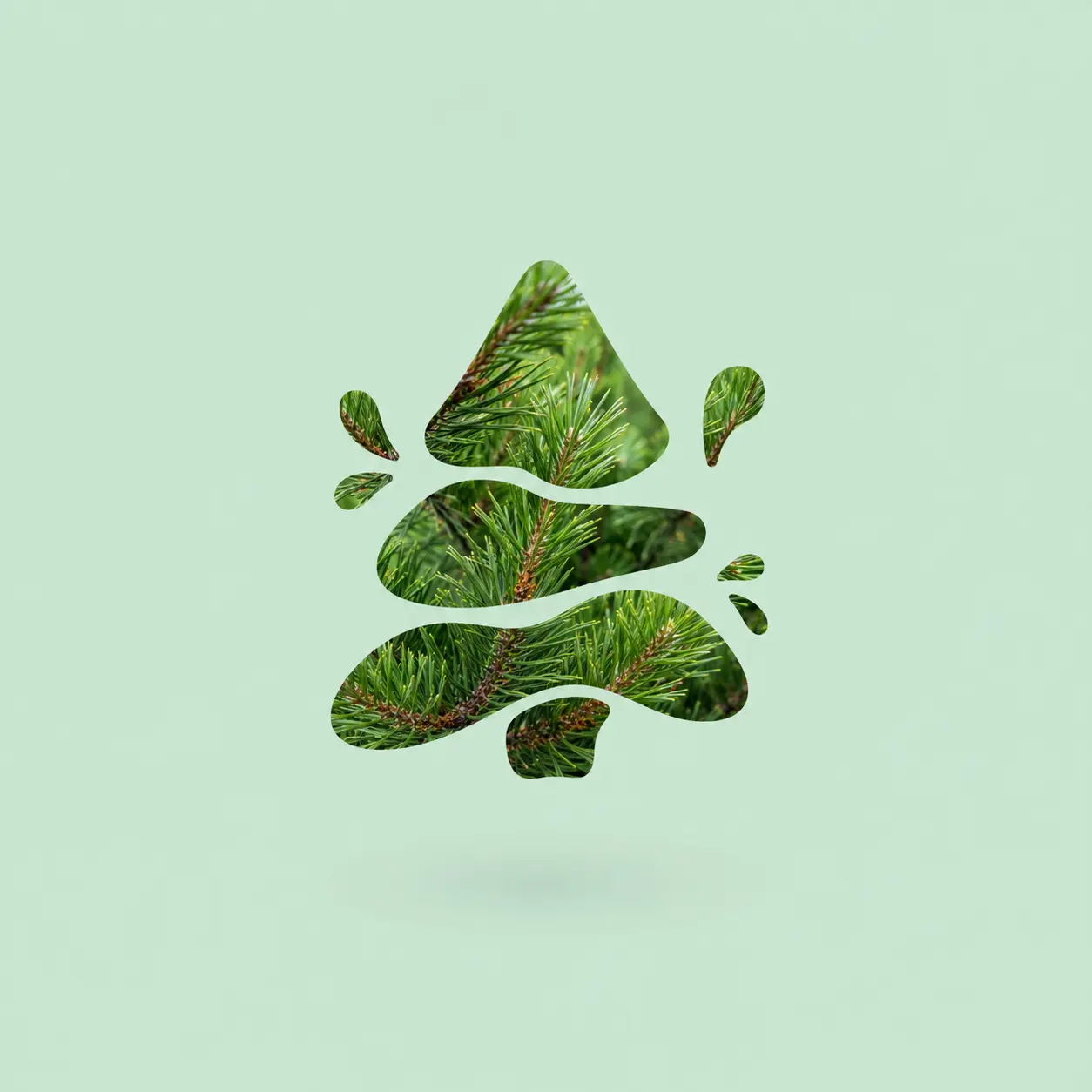 Fragancia Pino